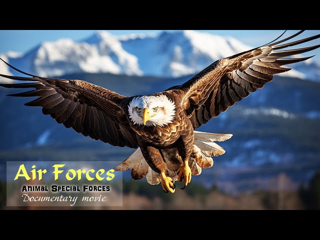 Air Forces | Unique wildlife footage! Animal Special Forces | Full Documentary movie