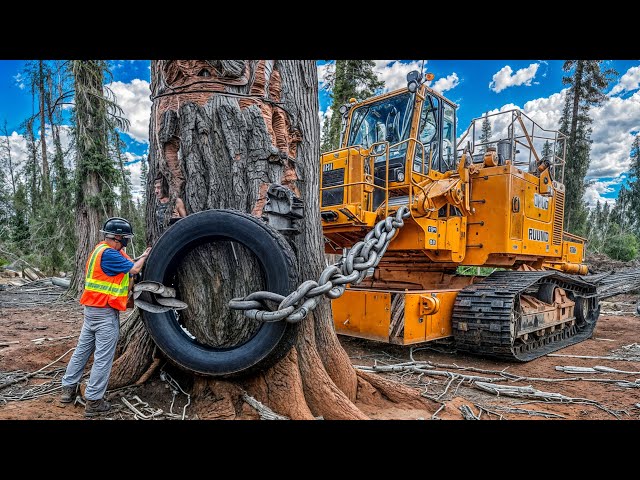 125 Incredible Fastest Big Chainsaw Machines For Cutting Trees