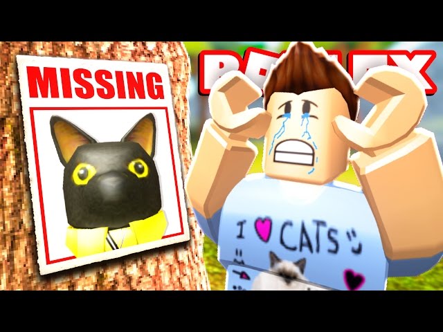 SIR MEOWS A LOT IS MISSING!