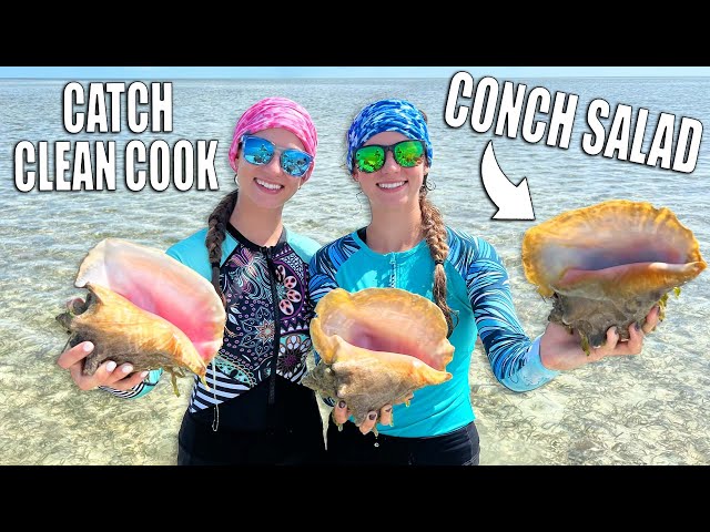 Free Diving in The Bahamas for Queen Conch - Catch Clean Cook