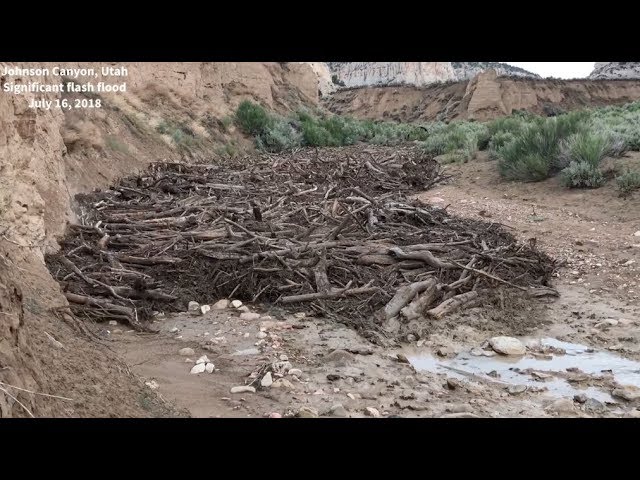 Monstrous Flash Flood & Debris Flow l Johnson Canyon, UT 7/16/2018