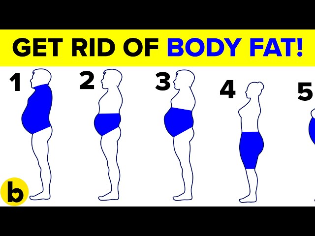 6 Types Of Body Fat And How To Get Rid Of It