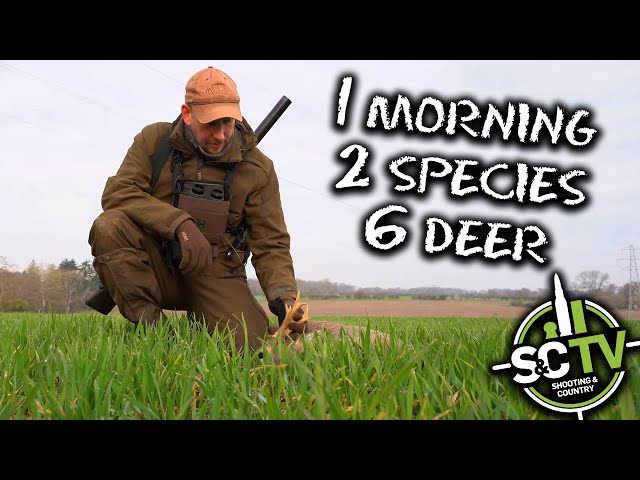 S&C TV | 6 deer 2 species hunt | Deer management with Chris Rogers 22