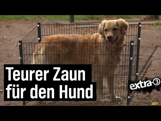 Realer Irrsinn: Hamburger Hundezaun | extra 3 | NDR
