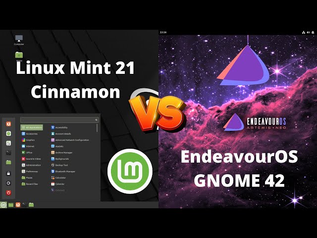 EndeavourOS (GNOME42)  VS  Linux Mint 21 Cinnamon (RAM Consuption)