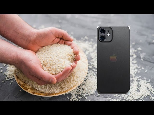 APPLE says no rice to dry iPhone  Hmm...