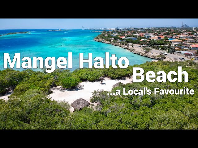 Overlooked Mangel Halto Beach 🏝 Aruba Vlog Walking tour