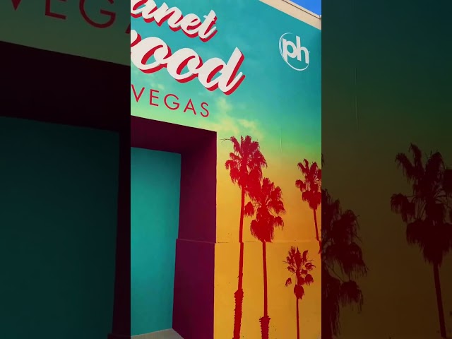 Vegas 2024 Uncovered: The Ultimate Poolside Paradise at Planet Hollywood! #planethollywoodlasvegas
