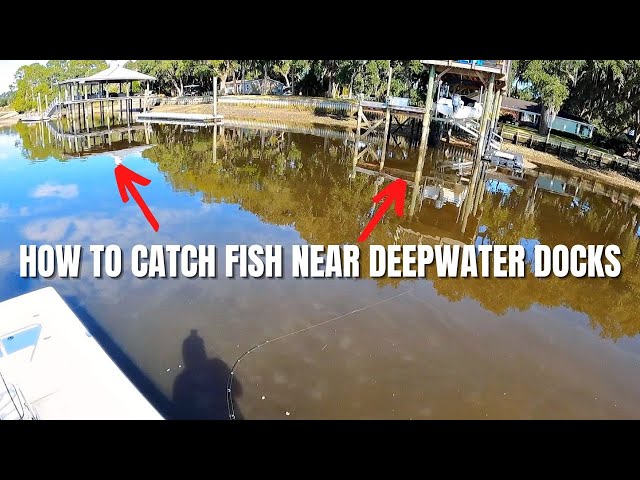 The #1 Way To Catch Fish Around Deepwater Docks