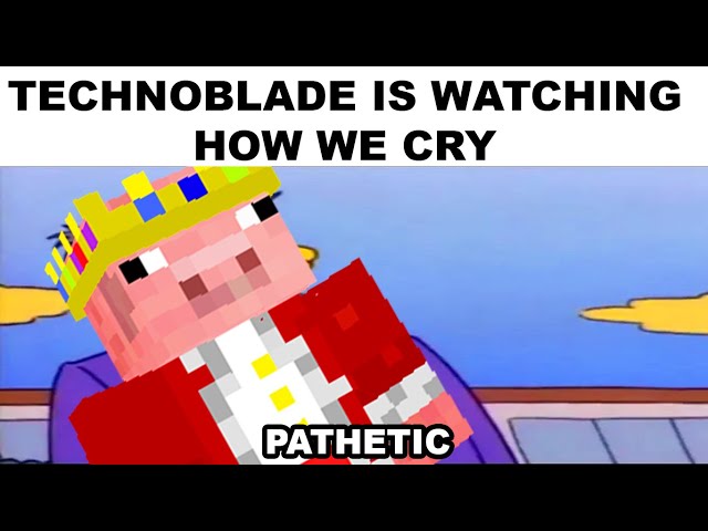 technoblade memes that make me happy
