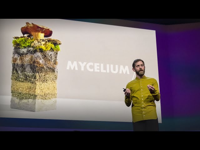 The Future of Fashion – Made from Mushrooms | Dan Widmaier | TED