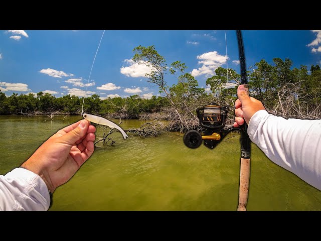 Snook Fishing the Florida Everglades with NLBN Lures!!