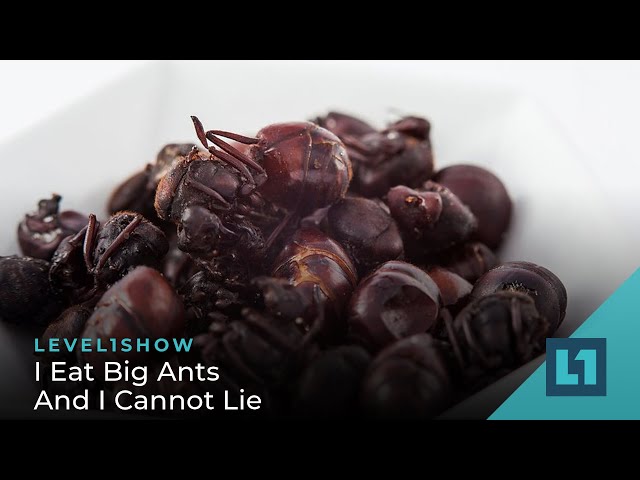 The Level1 Show January 13 2023: I Eat Big Ants And I Cannot Lie