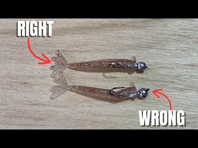 Step-By-Step Instructions For Rigging Soft Plastic Lures