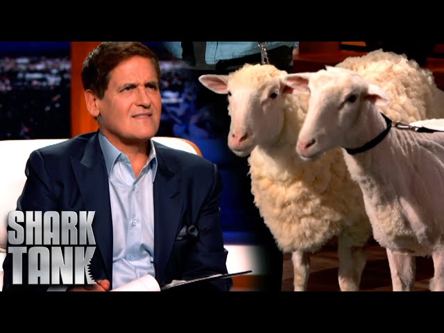 Shark Tank US | Fur Entrepreneurs Bring SHEEP Into The Tank