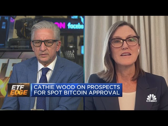 Cathie Wood on "spot bitcoin" approval