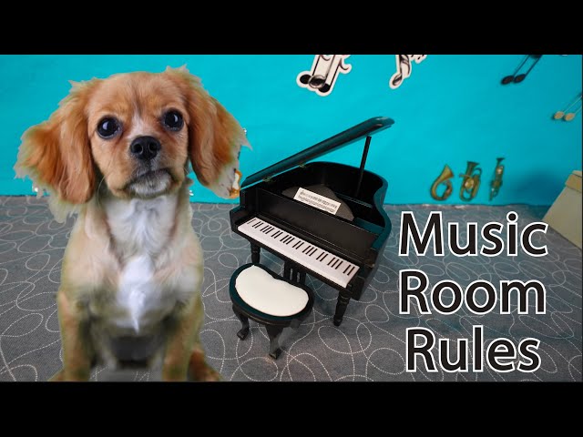 Music Room Rules: A Lesson for Kids