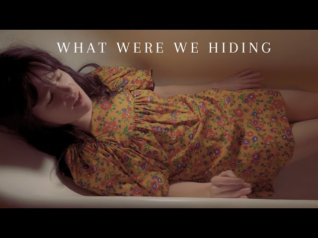 Dustin Silva - What Were We Hiding - Existential Melancholic Folk (Official Music Video)