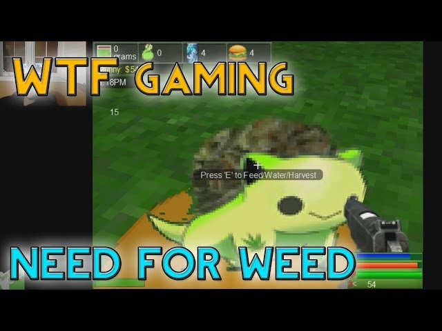 Need for Weed 3D! (WTF Gaming)