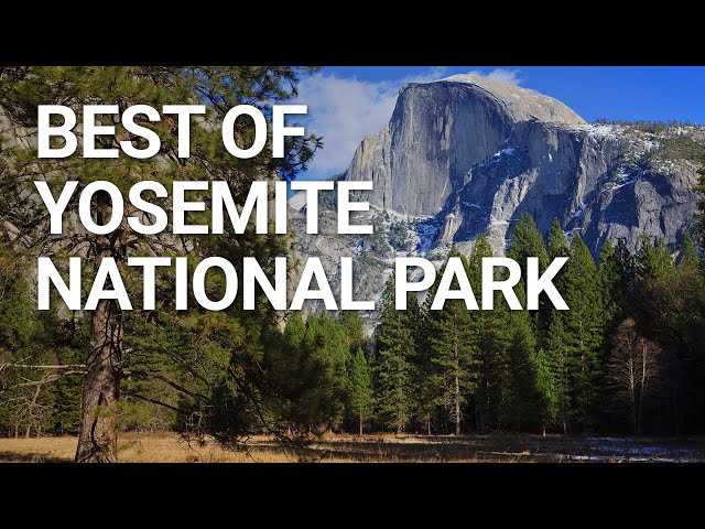 Top Things You NEED To Do In Yosemite National Park