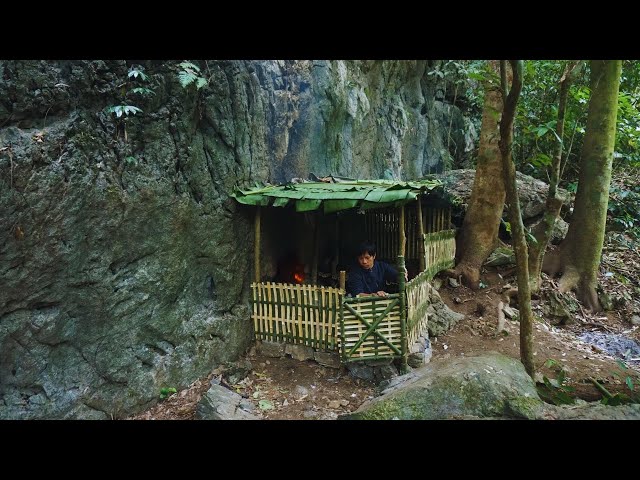 Solo Bushcraft: Return to the old shelter, repair the Bushcaft house. Bird trap, overnight stay -P.2