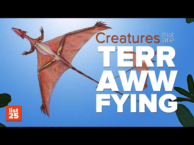 25 Ancient CREATURES That Might Not Have Been THAT Scary