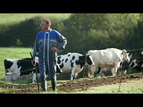 Farmers' suicides: the rising human cost of the EU's agriculture crisis - reporter
