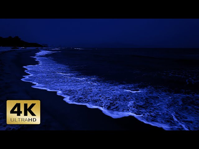 Soothing Ocean Waves For Deep Sleep - Low Rolling Waves at Night for Ultimate Relaxation - 4K 8 Hour