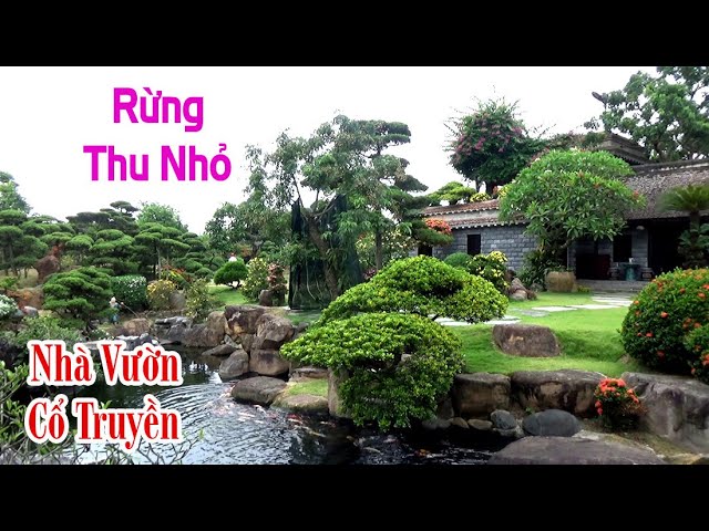Miniature Forest In The Most Beautiful Traditional Garden In Vietnam