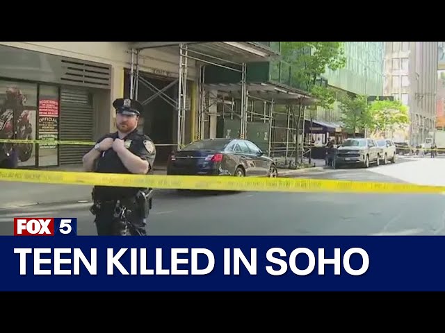 Teen killed in SoHo