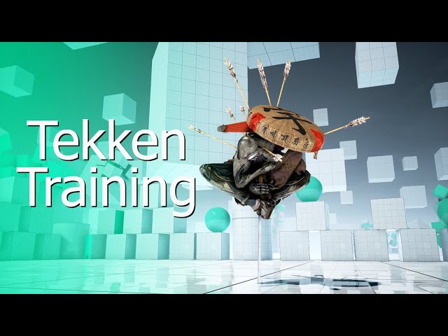 Tekken Training