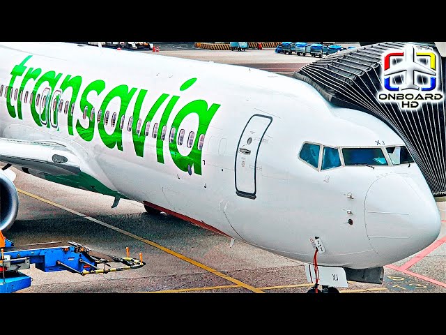 TRIP REPORT | 1st Time TRANSAVIA! ツ | Scimitar Boeing 737 | Alicante to Amsterdam