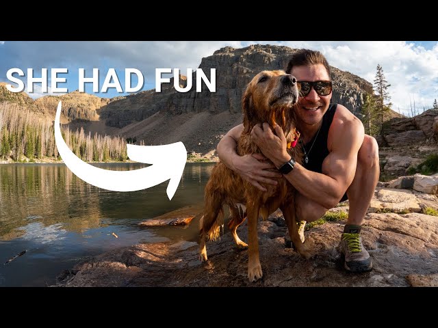 Nala stomps, zoomies, and smiles | Day hike with my golden