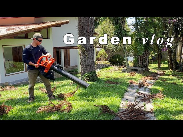 How to take care of your yard efficiently | Refúgio Green