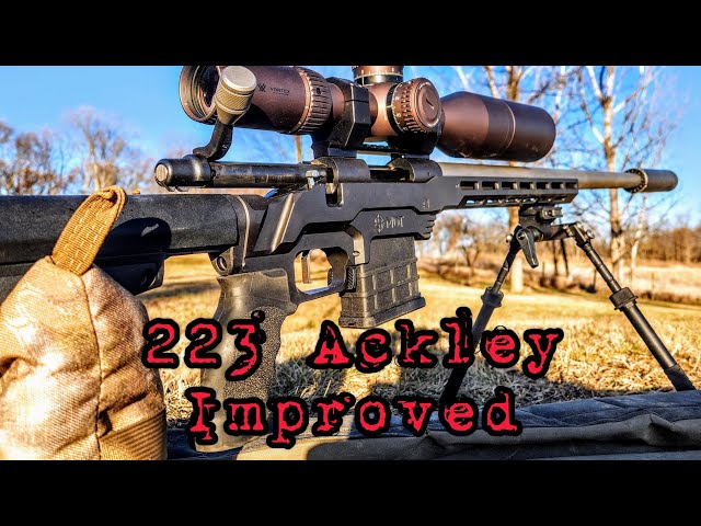 223 Ackley Improved My rifle and cartridge overview