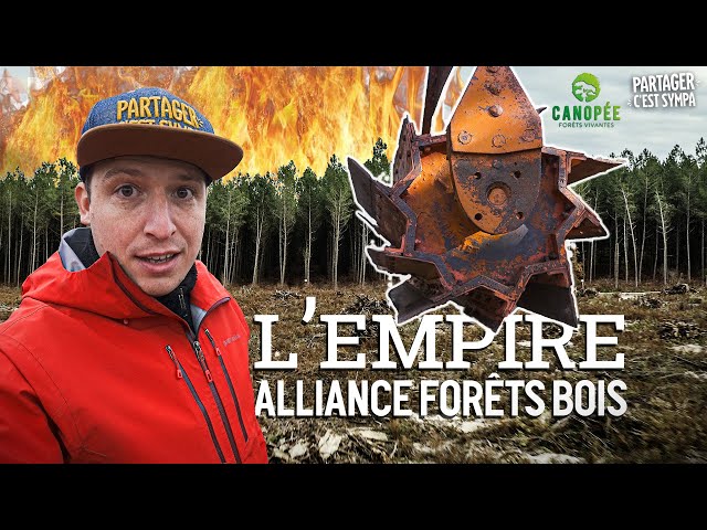 ENQUÊTE : Un Empire Industriel en Forêt Française | EP 4 : Alliance Forêts Bois