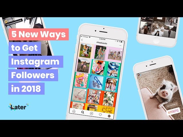 Live with Later: 5 New Ways to Get Instagram Followers in 2018 🌴