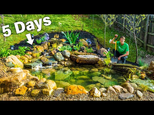 DIY Budget Ecosystem Pond - Solo Build in 5 Days by Hand