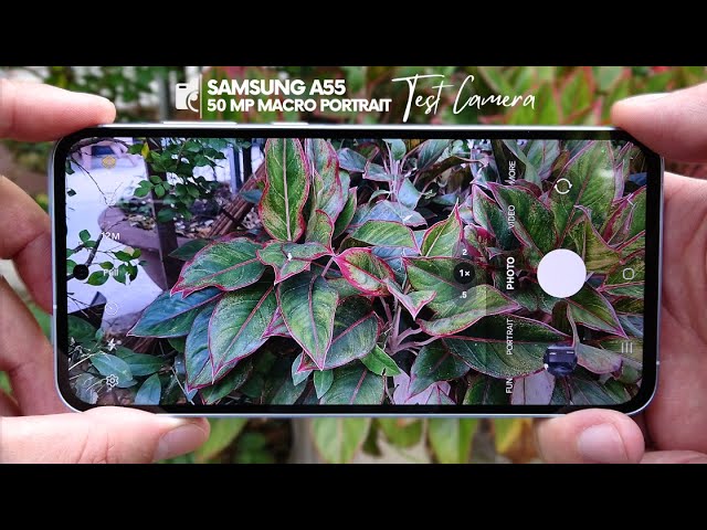 Samsung Galaxy A55 test Camera full features