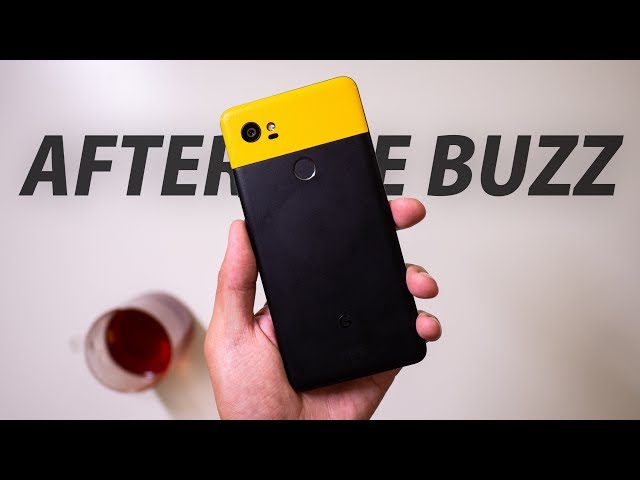 Google Pixel 2 XL: After the Buzz
