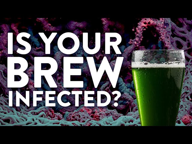 How to identify MOLD & other WEIRD stuff in your mead, beer, wine, or cider