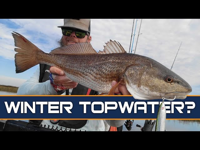Debunking Winter Topwater Fishing Myths