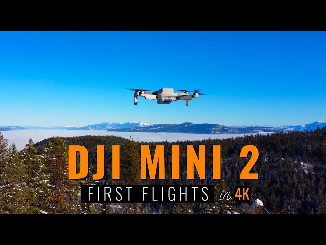DJI Mini 2 | First Flights in 4K