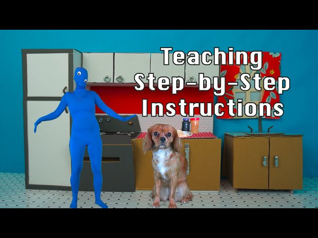 Teaching Step-by-Step Instructions Lesson for Kids