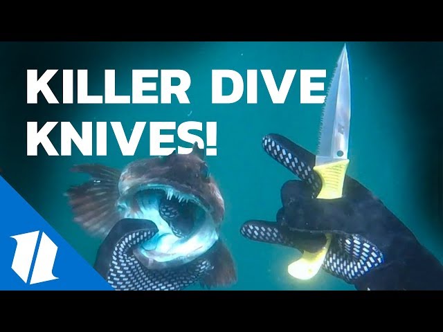 Which Dive Knife Should I Buy? | Knife Banter Ep. 54