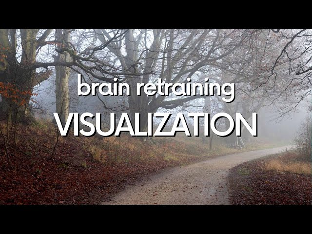 Guided Brain Retraining Visualization | DNRS Program, Gupta Program | Example 5