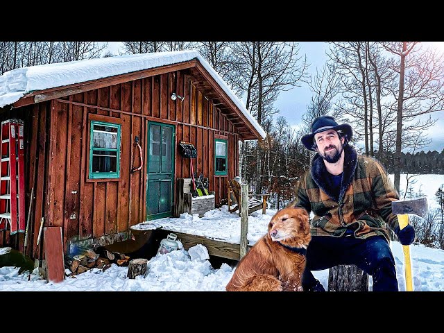 Winter at our Remote Cabin | Alone with my Dog for 3 Days in the COLD!