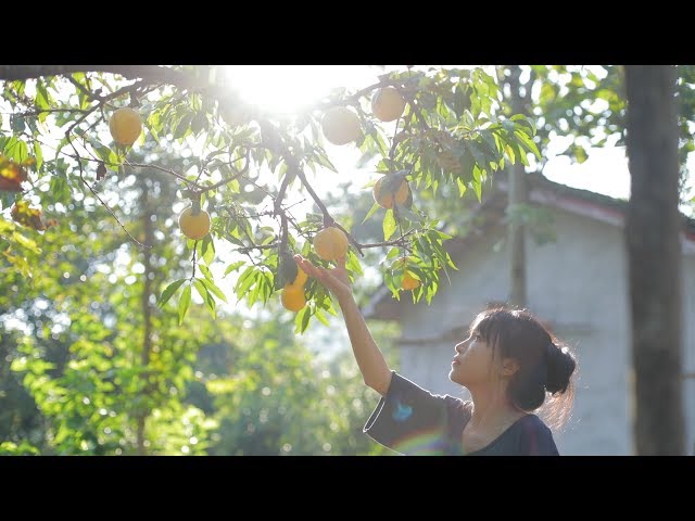 Hang a Quaint Lantern that Perfectly Befits the Peach Dishes on the Table. | Liziqi Channel