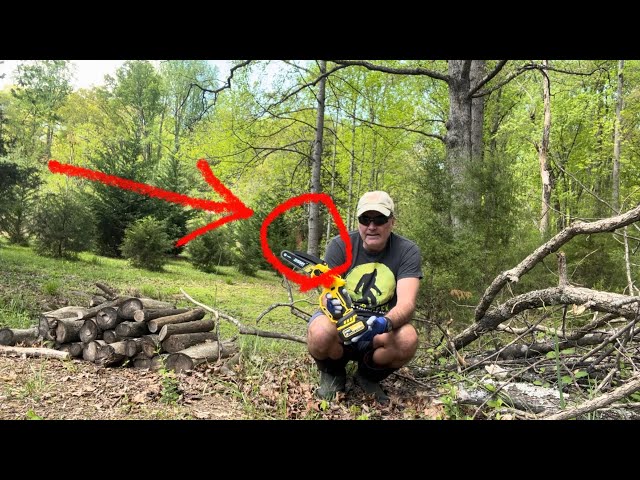 Bigfoot Sasquatch Captured On Video Of Unboxing And Testing Imoulive 6" Electric Mini Chainsaw 21V