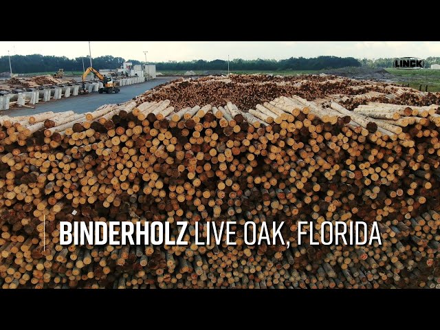 Binderholz - Live Oak, Florida